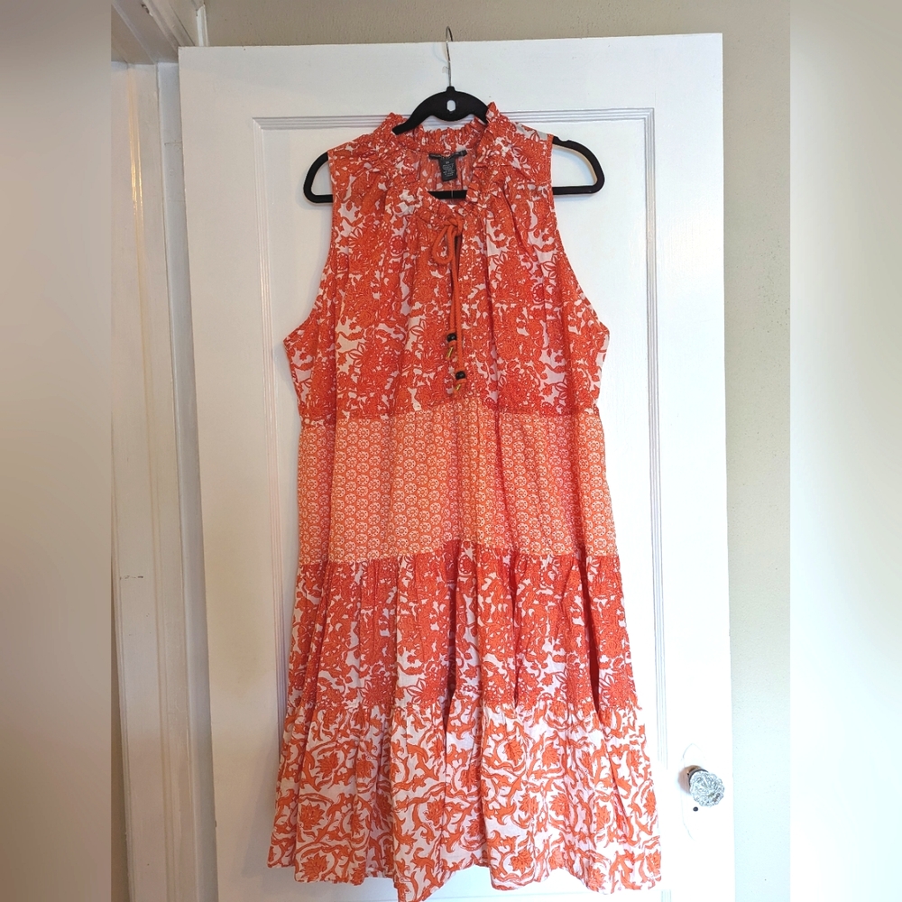 Chelsea and Theodore 3X Dress